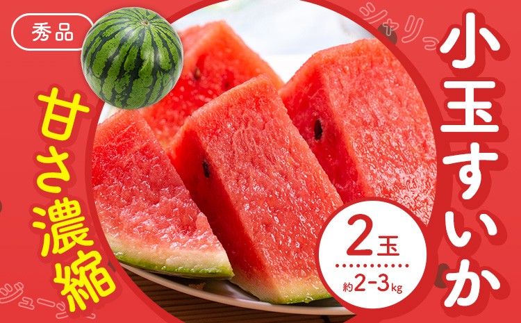 小玉すいか 秀品 2玉 約2～3kg
