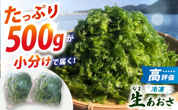 冷凍 生あおさ 50g×10袋 計500g / 海藻 ヒトエグサ 海産物 上五島