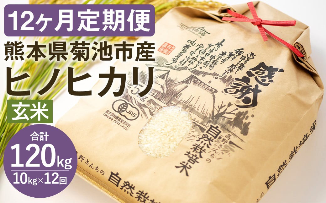 【定期便12ヶ月】七城物語 高野さんちの 自然栽培米 (玄米) 10kg (2.5kg×4パック)  合計120kg
