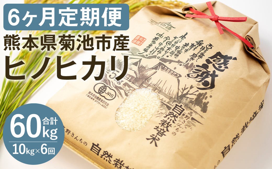 【定期便6ヶ月】七城物語 高野さんちの 自然栽培米 (精米)10kg(2.5kg×4パック) 合60kg