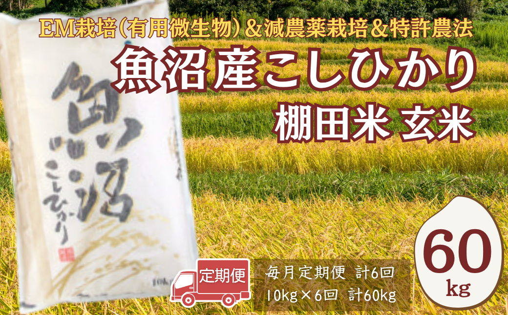 減農薬栽培に加えて、特許農法での「安心・安全なコメ作り」に取り組んでいます。