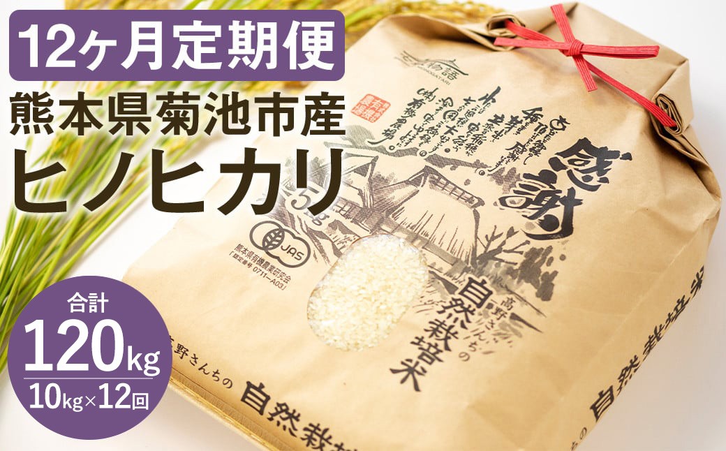 【定期便12ヶ月】七城物語 高野さんちの 自然栽培米 (精米)10kg(2.5kg×4パック) 合120kg