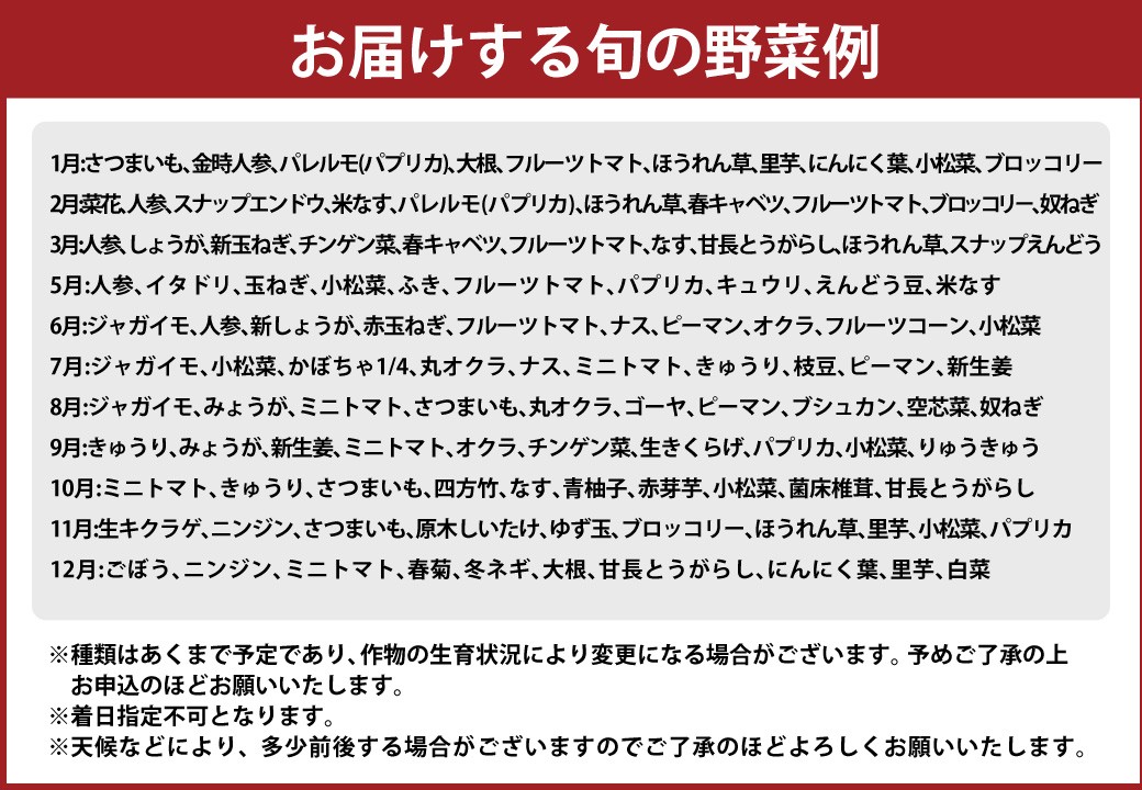 高知の野菜(10品目)+ゆずポン酢セット