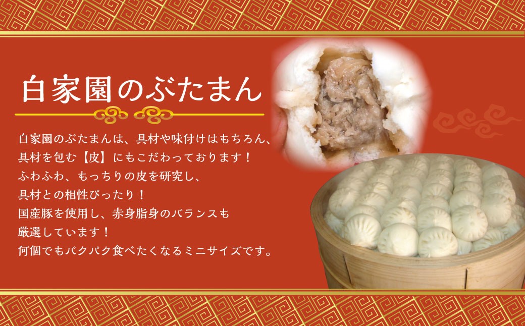 【全6回定期便】【詰め合わせ】ぶたまん20個×焼餃子10個×焼小籠包8個 / 中華 点心 惣菜 豚まん ギョーザ セット