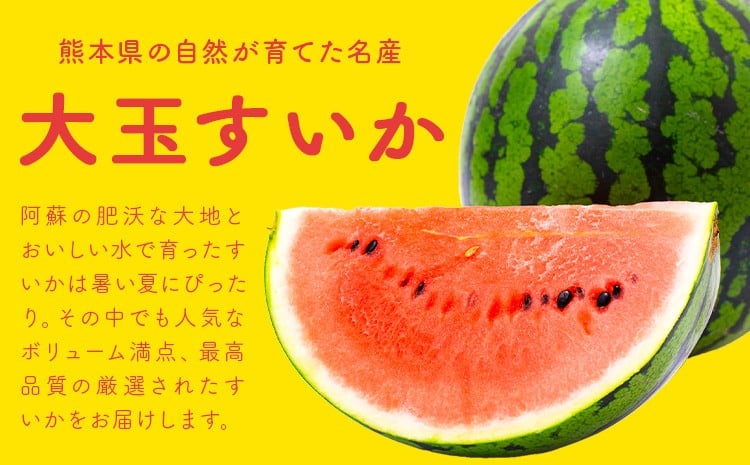 大玉すいか 秀品 1玉 約6kg?9kg