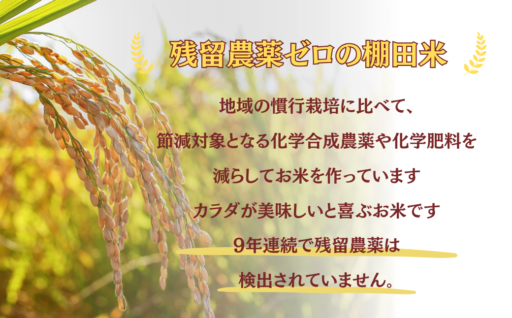 減農薬栽培に加えて、特許農法での「安心・安全なコメ作り」に取り組んでいます。