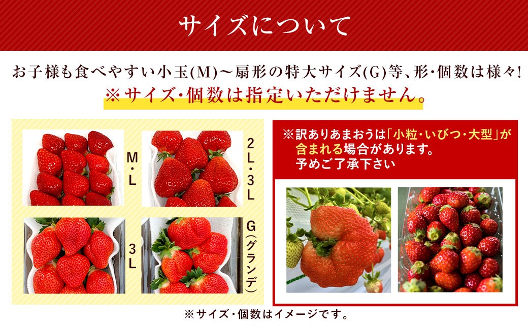 うるう農園のあまおう 4パック ＋ 1パック 合計5パック（約1425g） 訳あり あまおう （小粒・いびつ・大型）