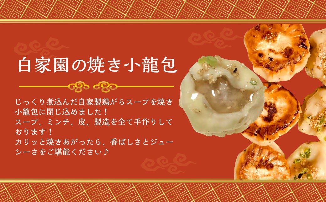【全12回定期便】【詰め合わせ】ぶたまん20個×焼餃子10個×焼小籠包8個 / 中華 点心 惣菜 豚まん ぎょうざ セット
