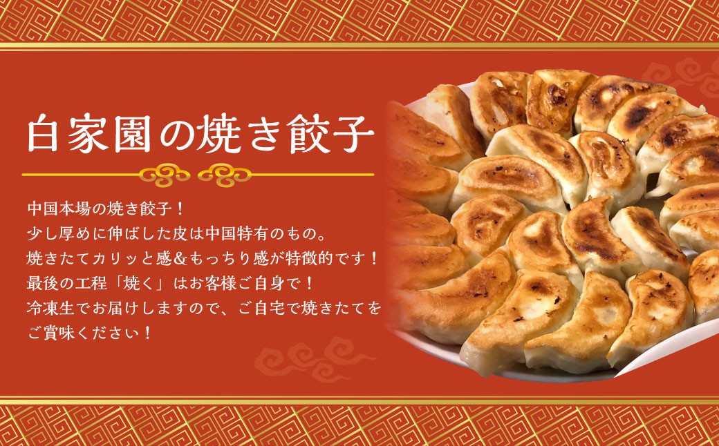 【全12回定期便】【詰め合わせ】ぶたまん20個×焼餃子10個×焼小籠包8個 / 中華 点心 惣菜 豚まん ぎょうざ セット
