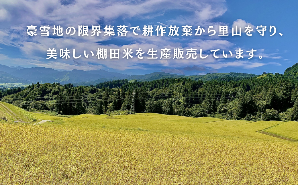 減農薬栽培に加えて、特許農法での「安心・安全なコメ作り」に取り組んでいます。