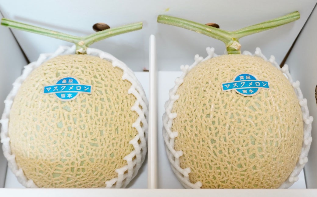 【生産者直送】☆夏作☆ マスクメロン 2玉 合計約3.2kg以上