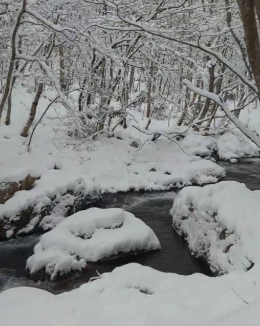 標高600mの冷涼な気候・きれいな水・地元産のヒメノモチを100％使用しています。