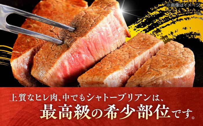【全5回定期便】総計 5kg 佐賀牛 ステーキ （シャトーブリアン & ヒレ 各 1kg）（2ヶ月に1回お届け）