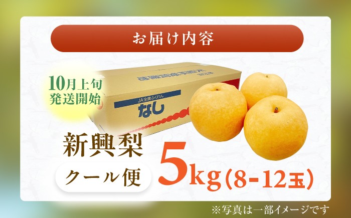 梨 なし 新興 果物 フルーツ