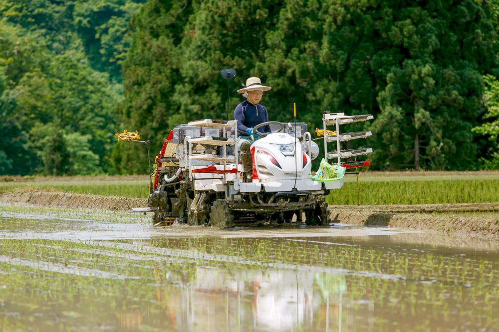 減農薬栽培に加えて、特許農法での「安心・安全なコメ作り」に取り組んでいます。