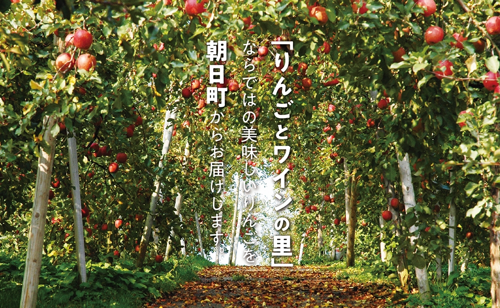 画像は箱詰めイメージです。