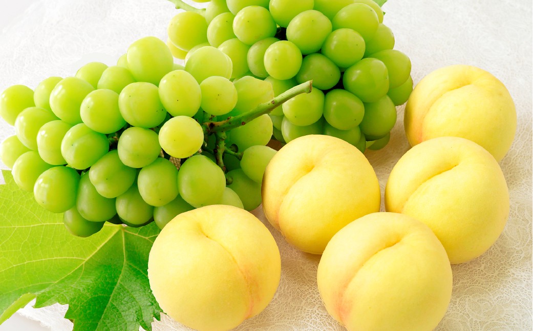 岡山白桃5玉とシャインマスカット2房 詰合せ