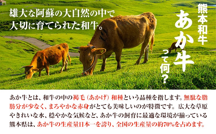 くまモンあか牛ハンバーグセット(あか牛ハンバーグ約120g×6個、あか牛のたれ200ml付き)
