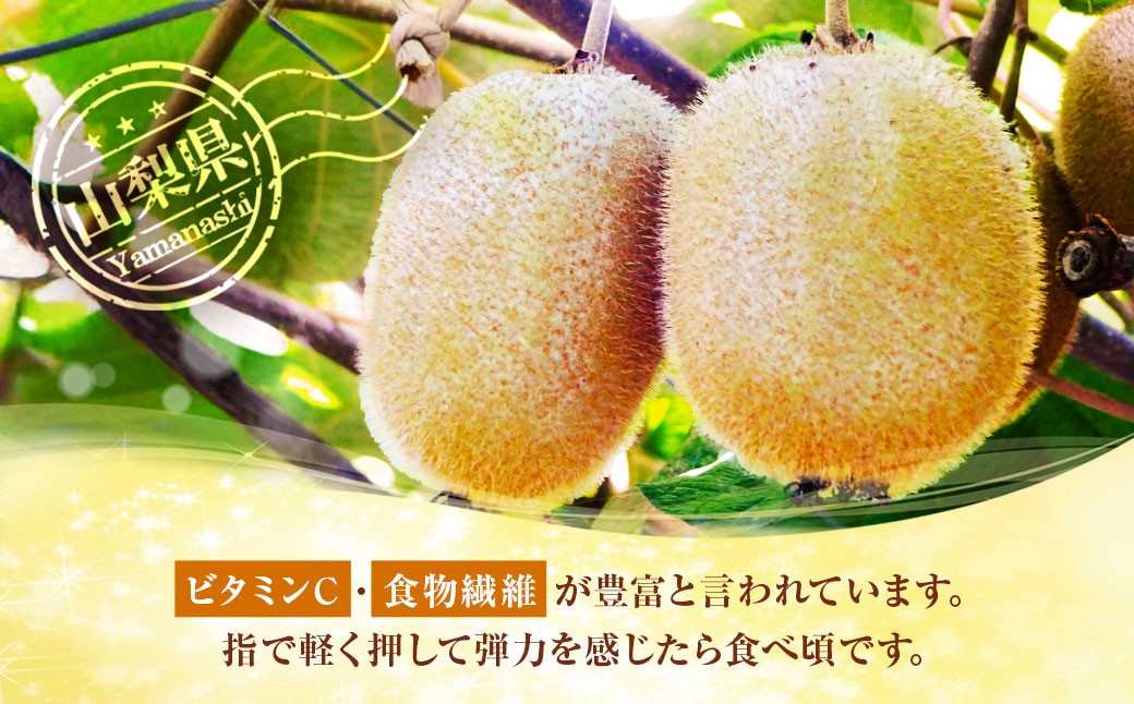 キウイフルーツ ヘイワード 約3.5kg