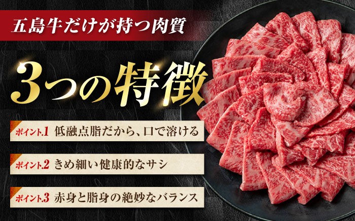 冷凍 牛肉 ブランド牛 和牛 長崎和牛 肩ロース バラ 贈答 高級 贈り物 焼肉