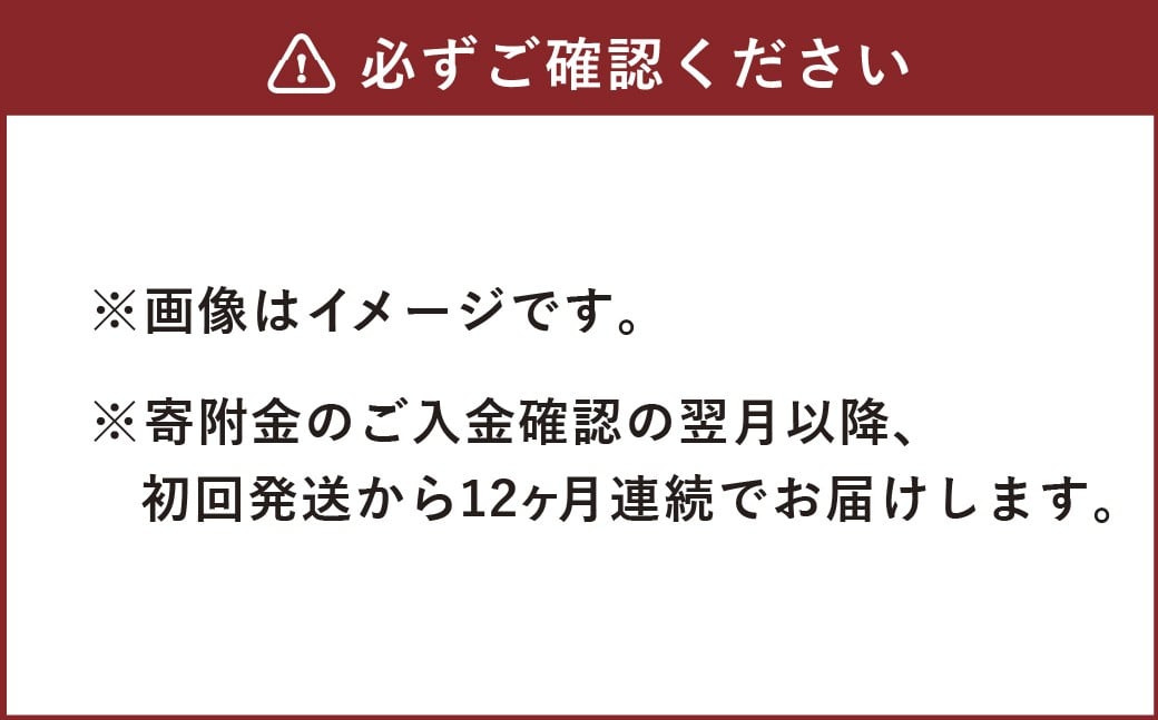 【12ヶ月定期便】天然鉱泉水「信玄」ナチュラルミネラルウォーター