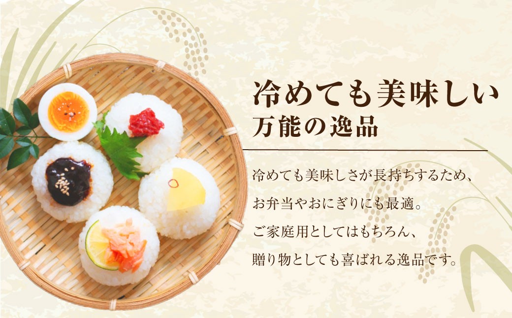 【令和7年産】福岡県産 夢つくし 精米 5kg