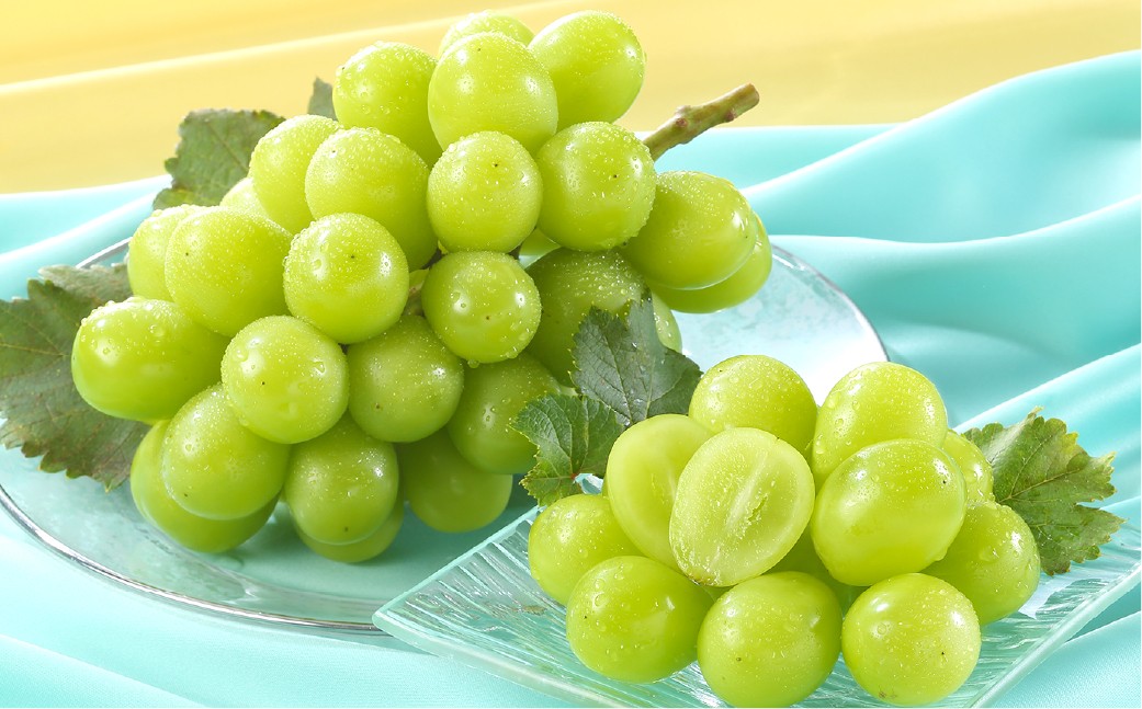 シャインマスカット晴王 1房