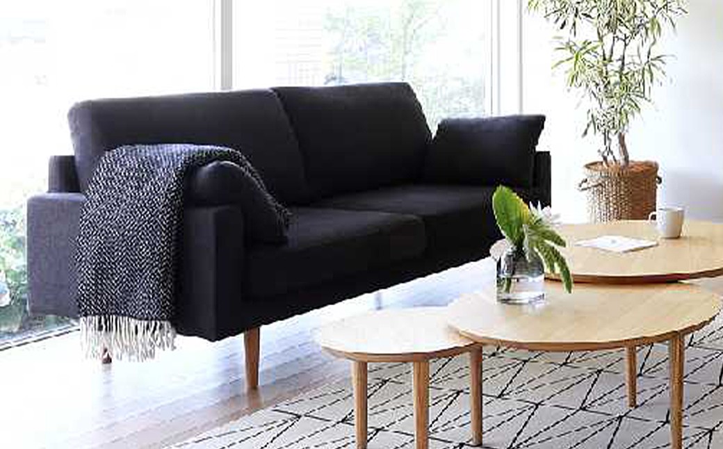 高野木工 LEO SOFA レオソファ 2.5人掛け ウォルナット脚【5年保証】