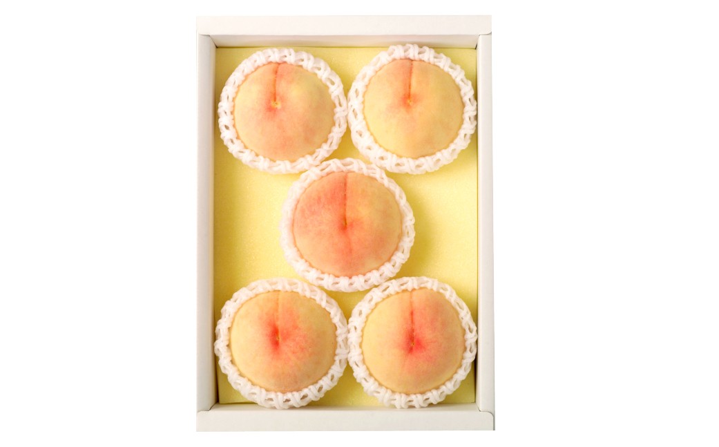 岡山白桃（品種：白鳳/加納岩白桃）5~7玉