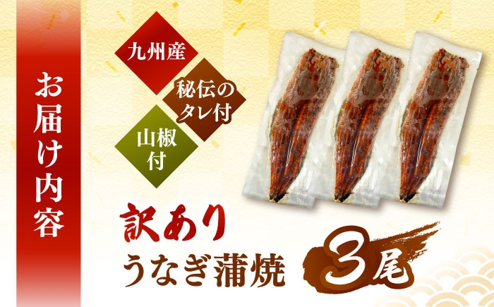 うなぎ 蒲焼き 国産 鹿児島 セット