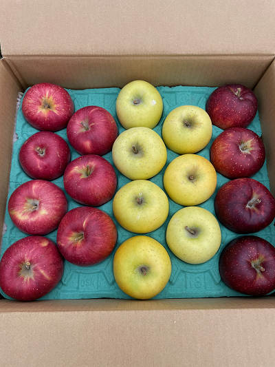 画像はイメージです