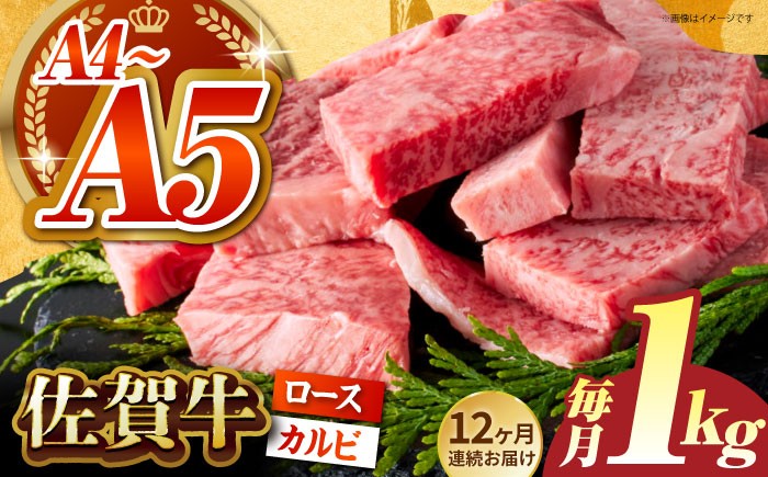 ＜全12回定期便＞佐賀牛 はしっこちゃん  計1kg（ロース カルビ）【がばいフーズ】 [HCS046]