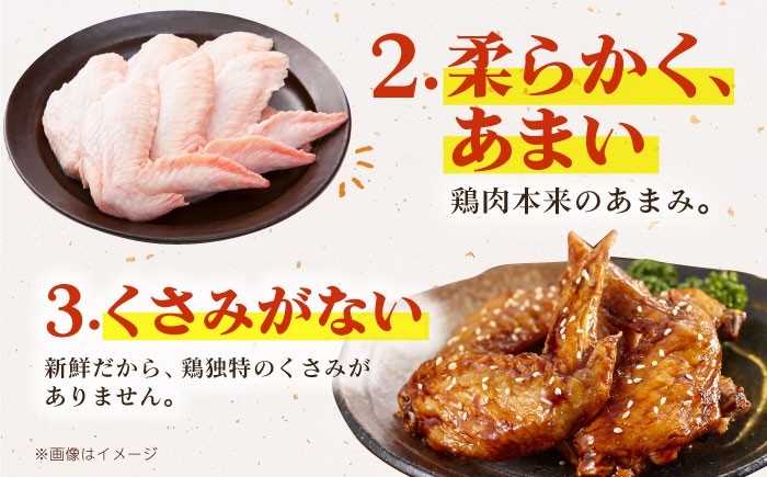 【朝引き】ありたどり 手羽先 計1kg ありたどり テバサキ 手羽 手羽先 佐賀県産 唐揚げ から揚げ からあげ 煮物 塩焼き