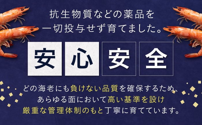 クリームコロッケ コロッケ 惣菜 おかず 海老クリームコロッケ 海老 クリーミー 揚げるだけ 揚げ物 小分け 人気 おすすめ