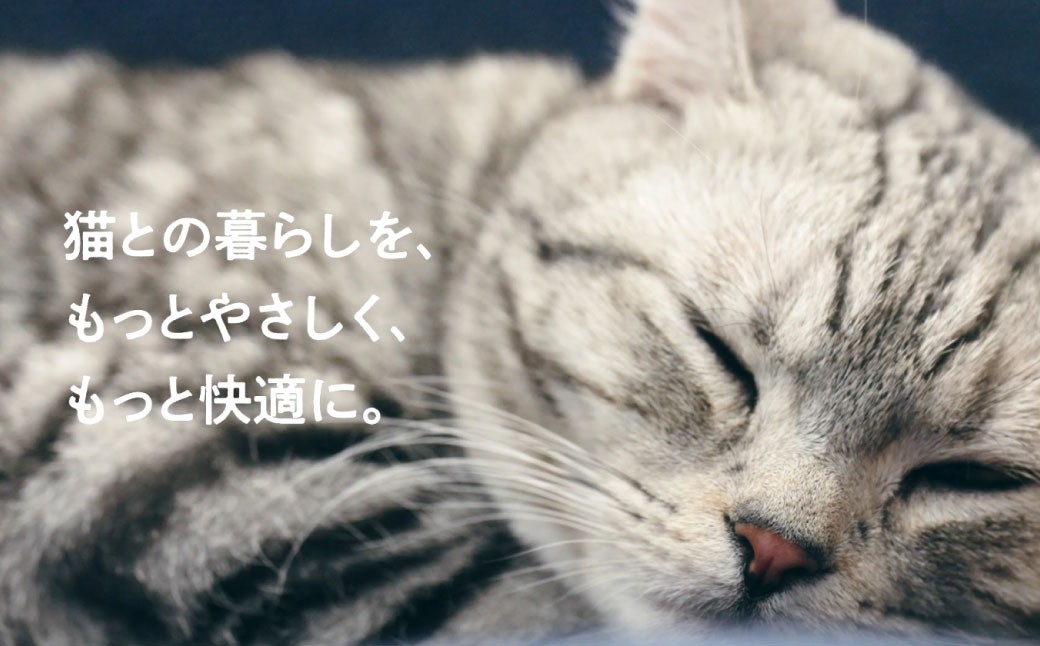 脱臭除菌機 ブルーデオS にゃんこモデル（MC-S311C） 