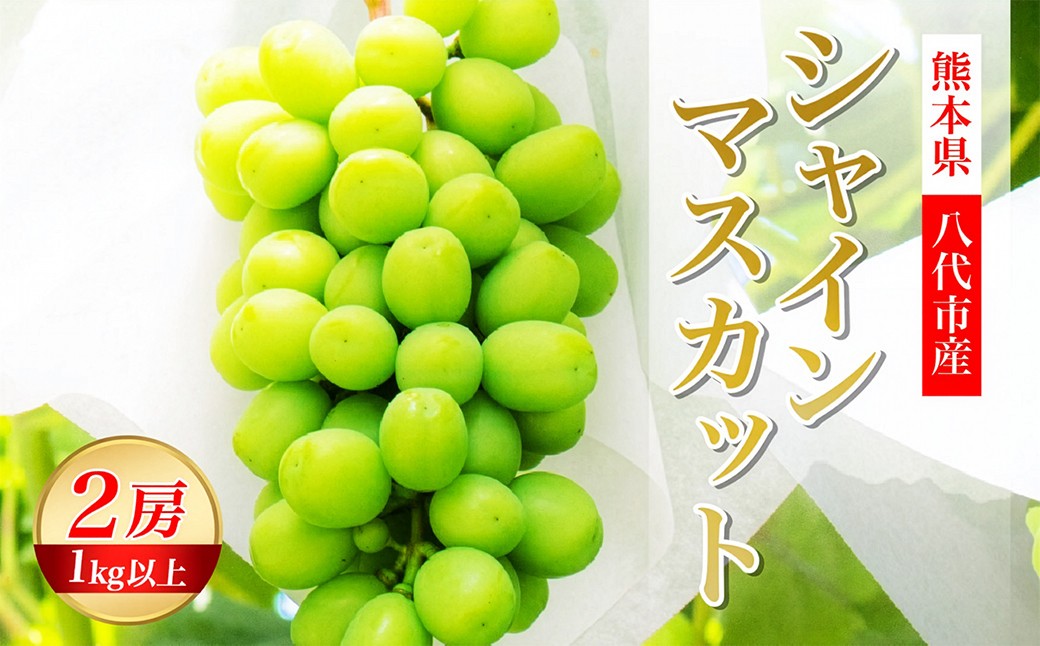 シャインマスカット 2房 1.0kg以上