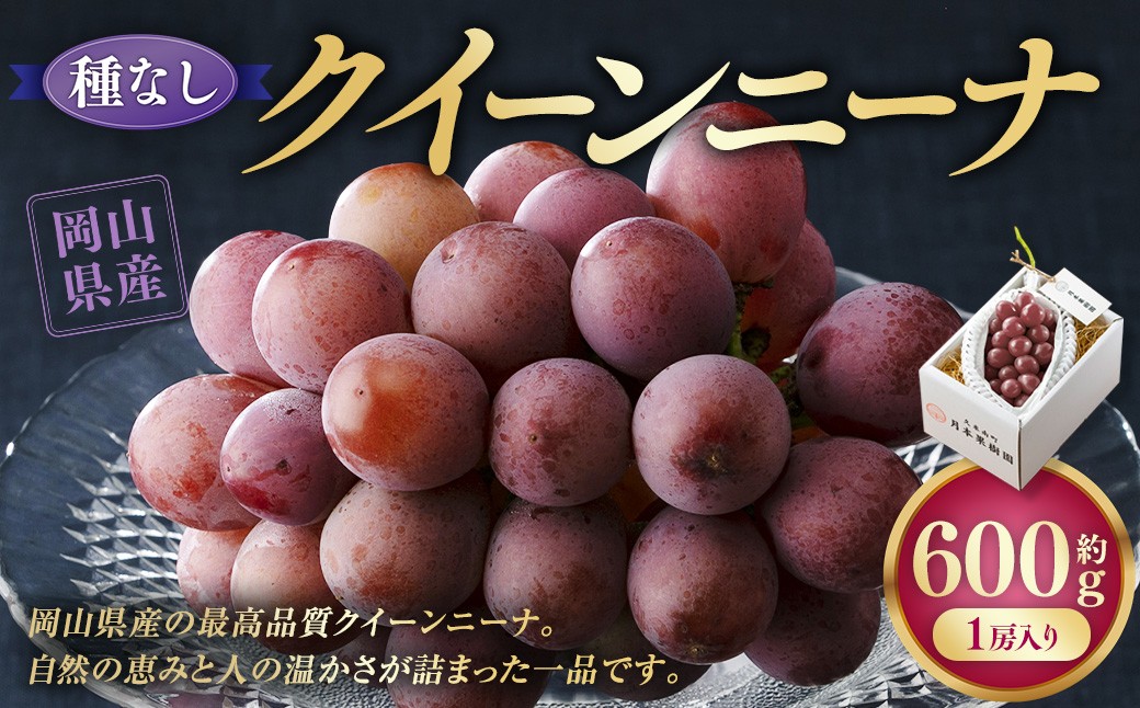 《種なし》岡山県産 クイーンニーナ 1房（約600g）