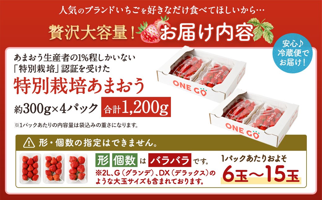 【2026年1月上旬～1月下旬発送予定】【予約受付】特別栽培 あまおう 1,200g