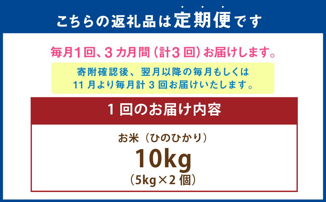 【年3回連続定期便】 【令和7年度産】 熊本県 （七城） 産のお米 計30kg（計10kg（5kg×2個）×3回） 