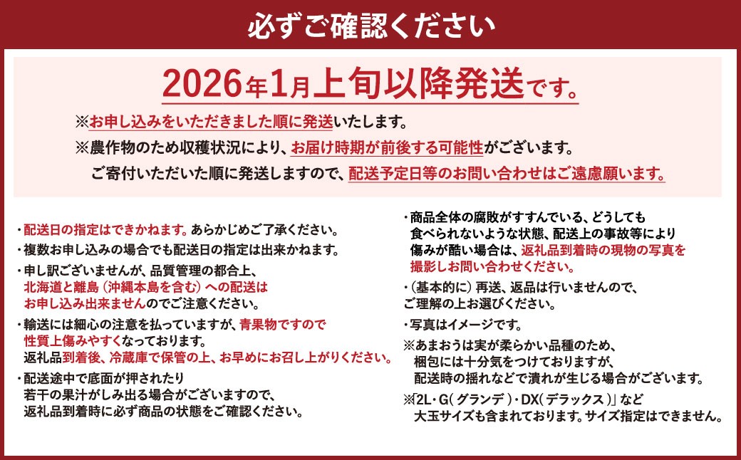【2026年1月上旬～1月下旬発送予定】【予約受付】特別栽培 あまおう 1,200g