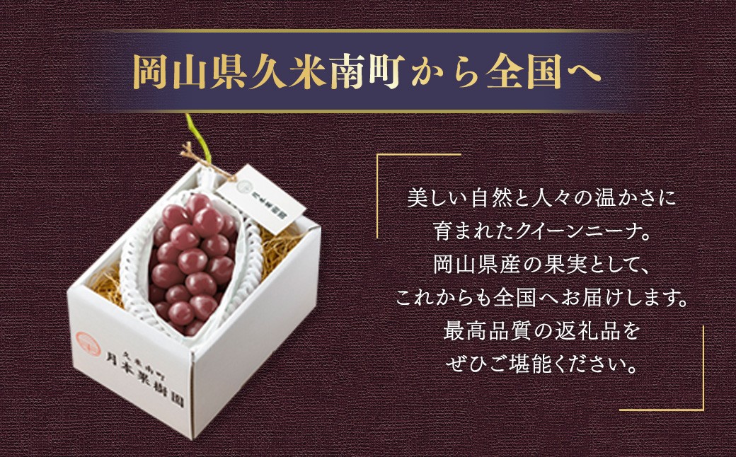《種なし》岡山県産 クイーンニーナ 1房（約600g）