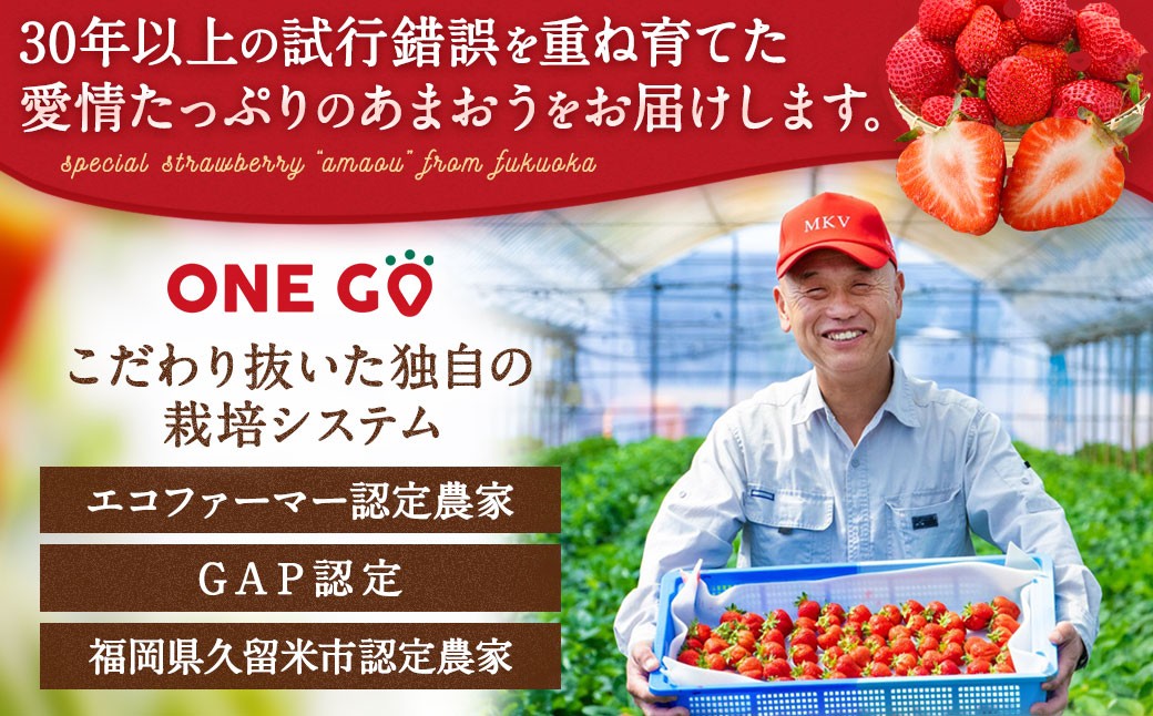 【2026年1月上旬～1月下旬発送予定】【予約受付】特別栽培 あまおう 1,200g