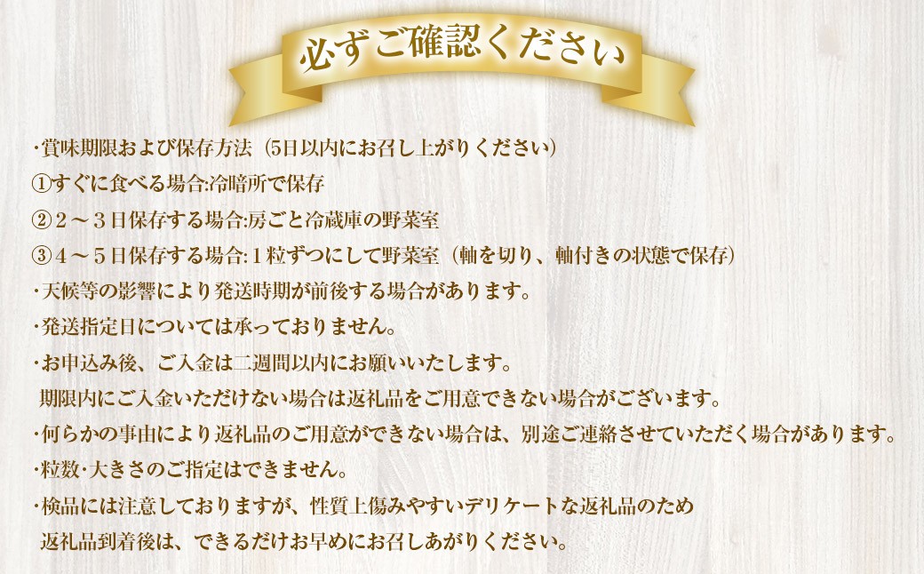 【先行予約】 朝採れ BKシードレス （種なし） 1.5kg（3房） ぶどう 葡萄
