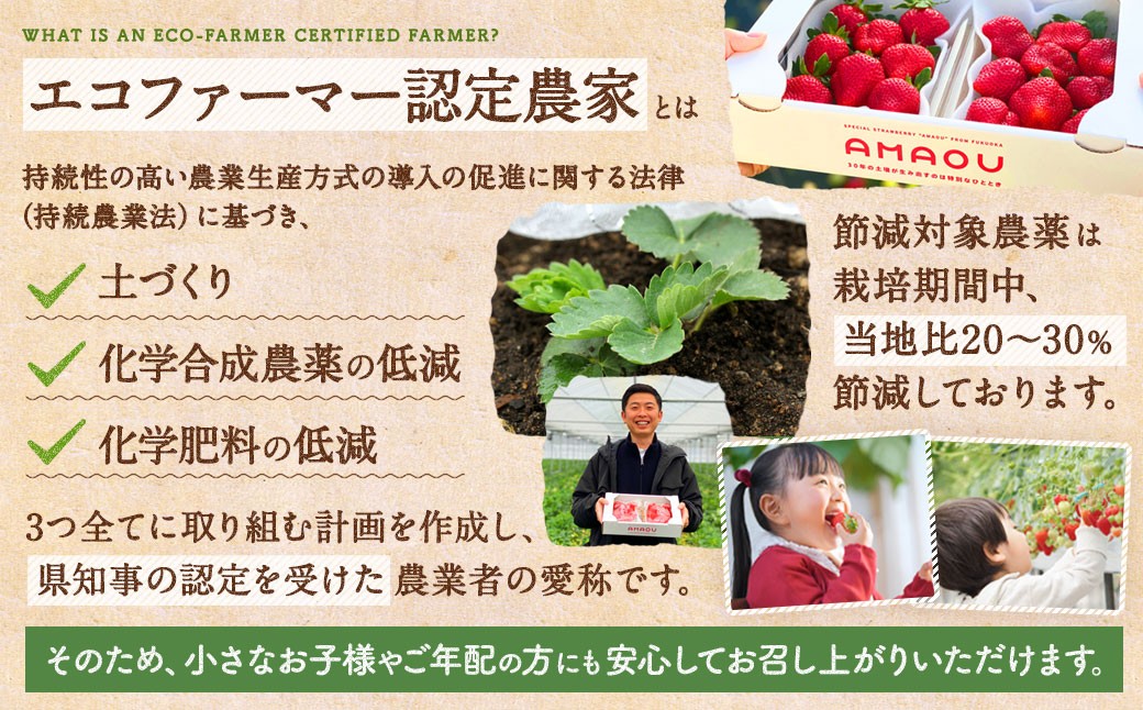 【2026年1月上旬～1月下旬発送予定】【予約受付】特別栽培 あまおう 1,200g