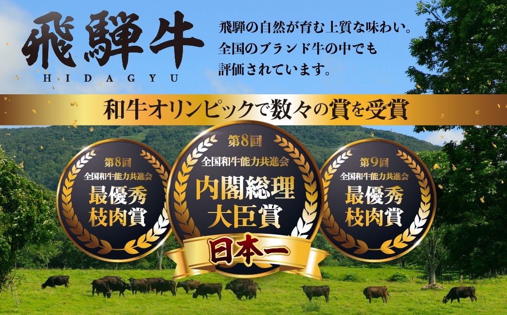 飛騨牛 極厚ヒレステーキ 150g×3枚 (450g) 