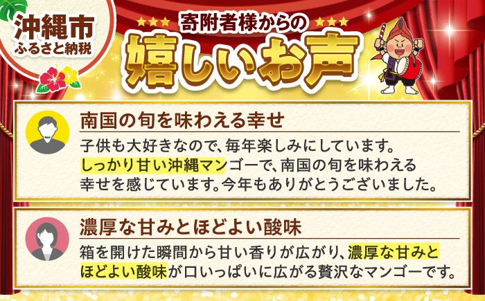 【 2026年発送 先行予約 】訳あり 完熟マンゴー 約3kg (約1.5kg (3〜6玉) ×2箱) マンゴー 2026