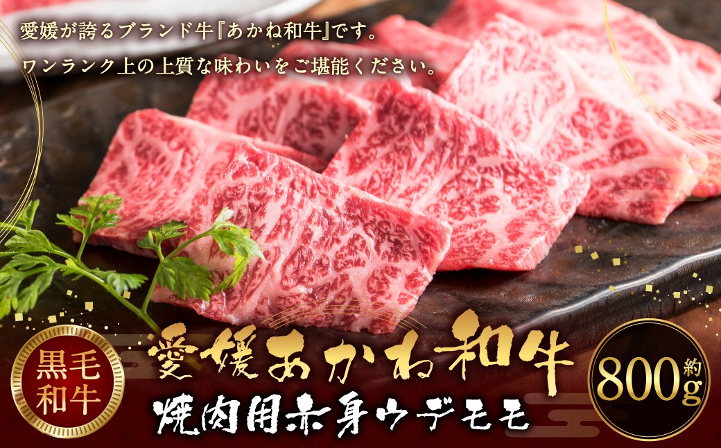 愛媛あかね和牛 焼肉用 赤身 ウデ モモ（約800g）
