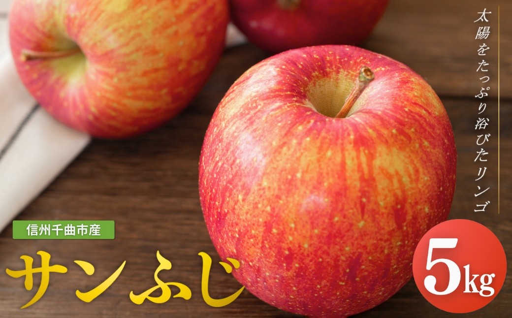 りんご サンふじ 約5kg