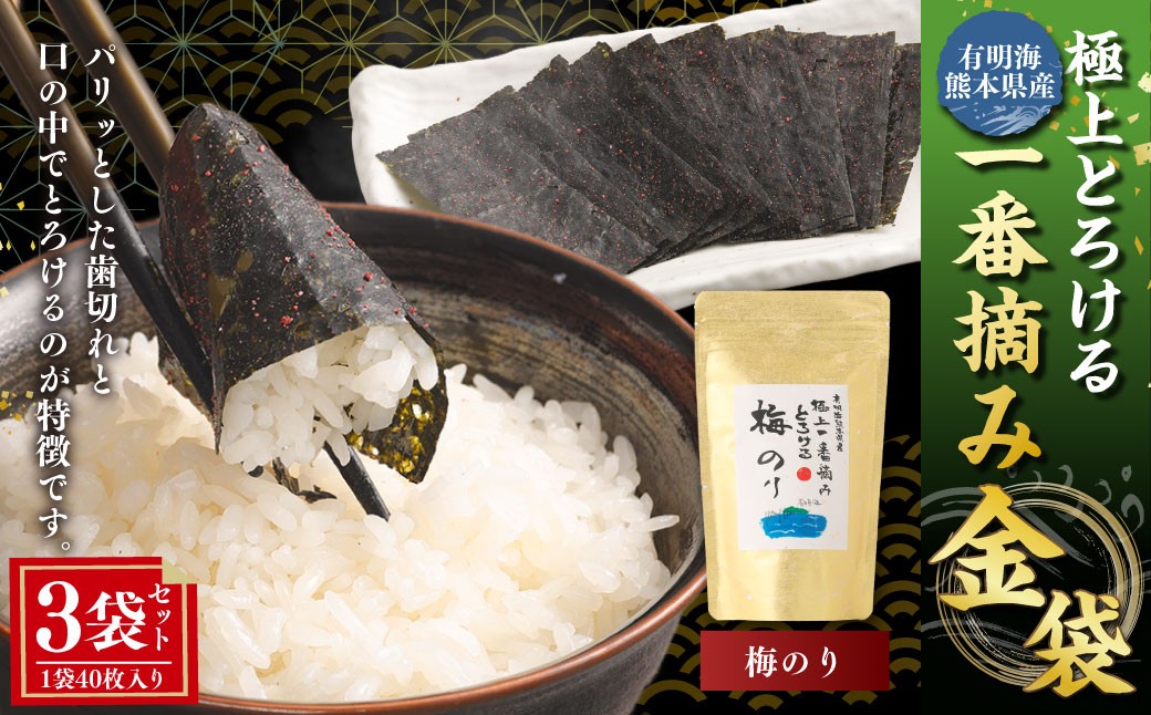 有明海熊本産極上とろける一番摘み梅のり金袋