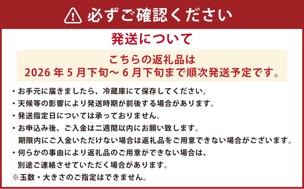 桃 はなよめ 秀品 約900g 6-10玉入り